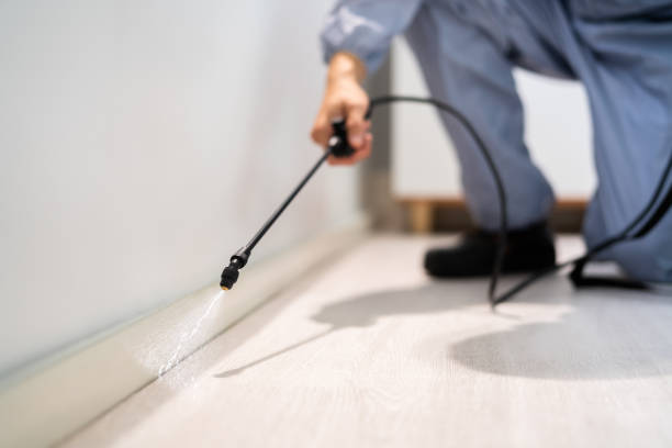 Rodent Entry Point Assessment in Ottawa Hills