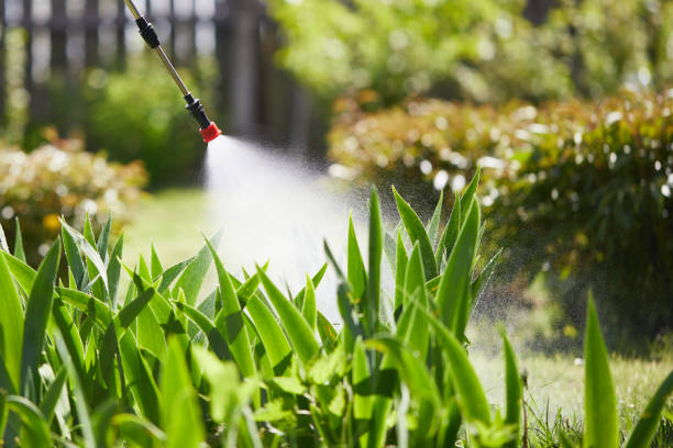 Tamper-Resistant Bait Stations for Rodents in Ottawa Hills