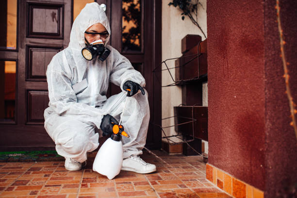 Attic and Crawl Space Rodent Treatment in Ottawa Hills