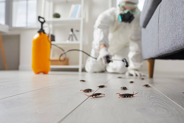 Commercial Rodent Management in Ottawa Hills